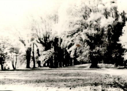 1920 Lindenallee ohne Ruine